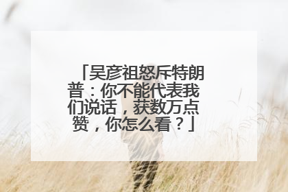 吴彦祖怒斥特朗普:你不能代表我们说话,获数万点赞,你怎么看?