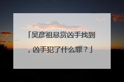 吴彦祖悬赏凶手找到，凶手犯了什么罪？