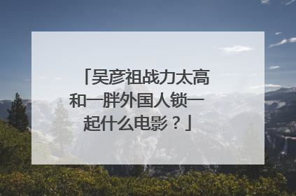 吴彦祖战力太高和一胖外国人锁一起什么电影?