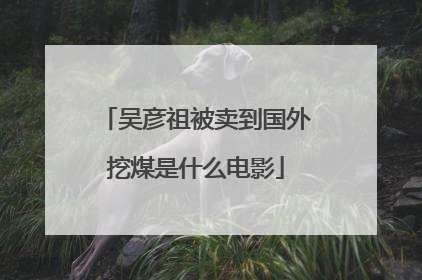 吴彦祖被卖到国外挖煤是什么电影