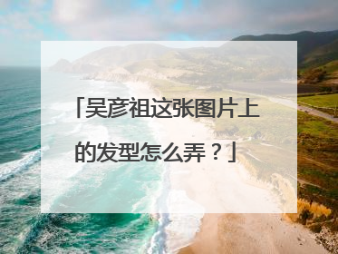 吴彦祖这张图片上的发型怎么弄?