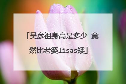 吴彦祖身高是多少 竟然比老婆lisas矮