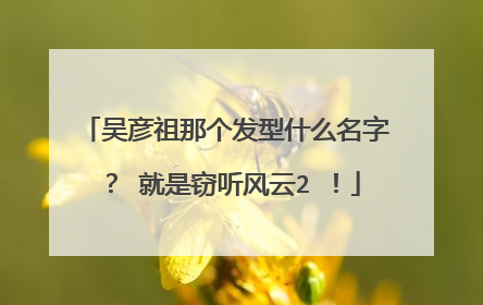吴彦祖那个发型什么名字？ 就是窃听风云2 ！
