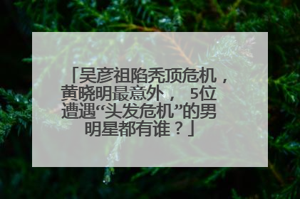 吴彦祖陷秃顶危机，黄晓明最意外， 5位遭遇“头发危机”的男明星都有谁？