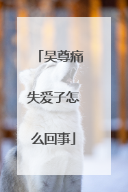 吴尊痛失爱子怎么回事