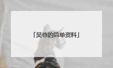 吴尊的简单资料