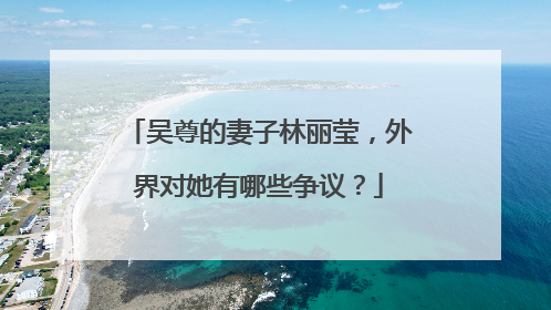 吴尊的妻子林丽莹，外界对她有哪些争议？