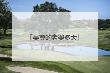 吴尊的老婆多大