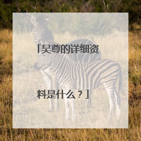 吴尊的详细资料是什么？