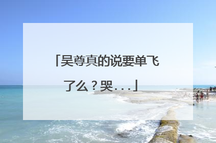 吴尊真的说要单飞了么？哭...