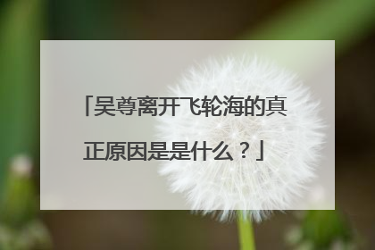 吴尊离开飞轮海的真正原因是是什么？