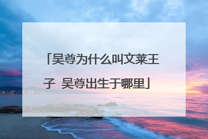 吴尊为什么叫文莱王子 吴尊出生于哪里