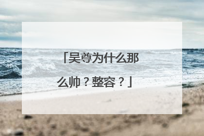 吴尊为什么那么帅?整容?