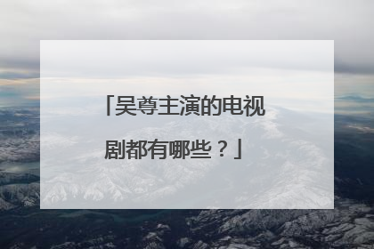 吴尊主演的电视剧都有哪些?