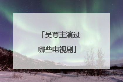 吴尊主演过哪些电视剧