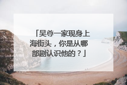 吴尊一家现身上海街头,你是从哪部剧认识他的?