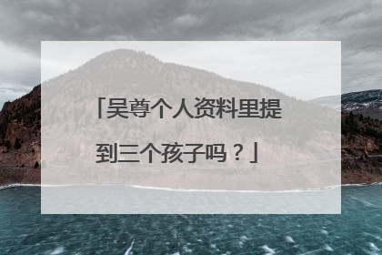 吴尊个人资料里提到三个孩子吗？