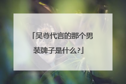 吴尊代言的那个男装牌子是什么?