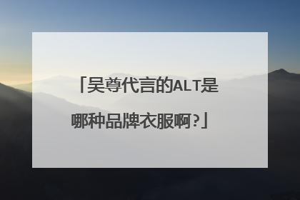 吴尊代言的ALT是哪种品牌衣服啊?