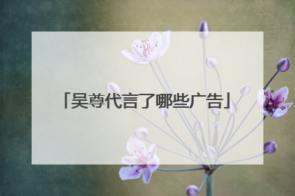 吴尊代言了哪些广告