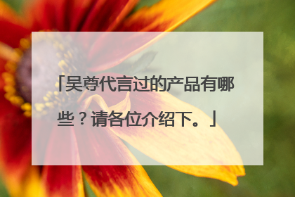 吴尊代言过的产品有哪些？请各位介绍下。