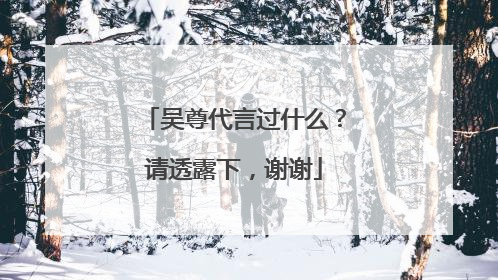 吴尊代言过什么？请透露下，谢谢