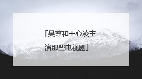 吴尊和王心凌主演那些电视剧