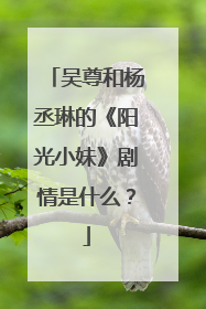 吴尊和杨丞琳的《阳光小妹》剧情是什么？