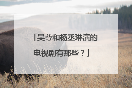 吴尊和杨丞琳演的电视剧有那些?