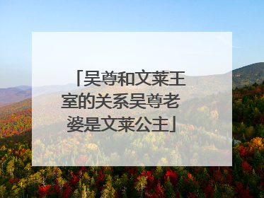 吴尊和文莱王室的关系吴尊老婆是文莱公主