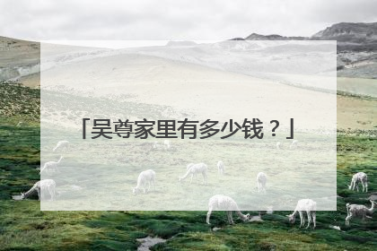 吴尊家里有多少钱?