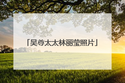 吴尊太太林丽莹照片