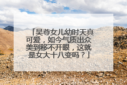 吴尊女儿幼时天真可爱,如今气质出众美到移不开眼,这就是女大十八变吗?