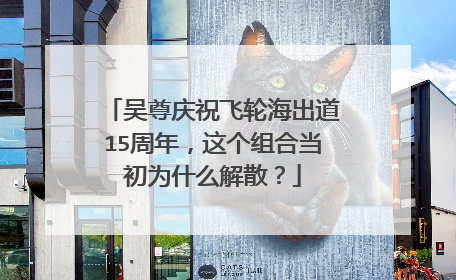 吴尊庆祝飞轮海出道15周年，这个组合当初为什么解散？
