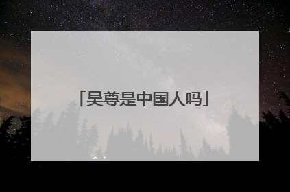 吴尊是中国人吗