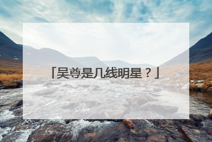 吴尊是几线明星？