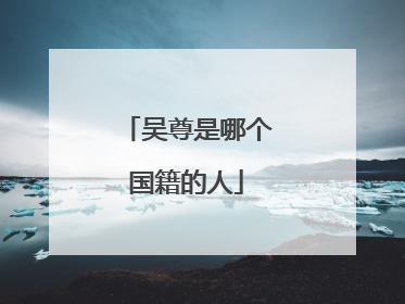 吴尊是哪个国籍的人