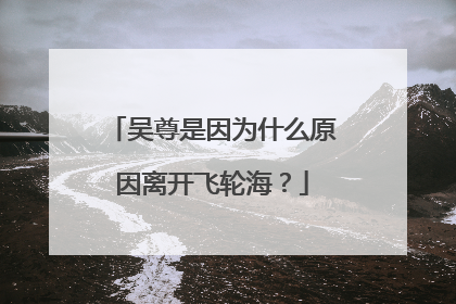 吴尊是因为什么原因离开飞轮海？