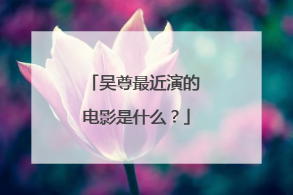 吴尊最近演的电影是什么？