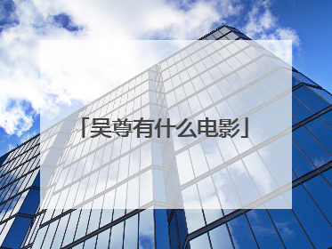 吴尊有什么电影