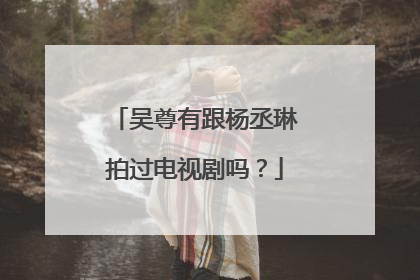 吴尊有跟杨丞琳拍过电视剧吗?