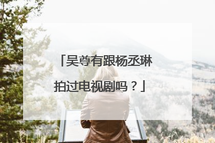 吴尊有跟杨丞琳拍过电视剧吗?