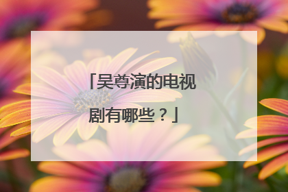 吴尊演的电视剧有哪些?