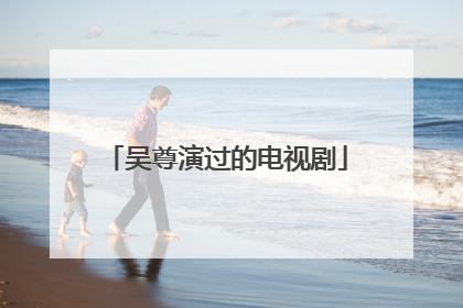 吴尊演过的电视剧