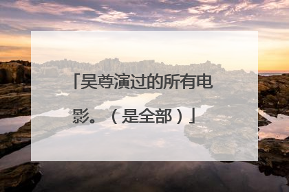 吴尊演过的所有电影。（是全部）