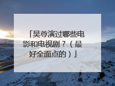 吴尊演过哪些电影和电视剧？（最好全面点的）