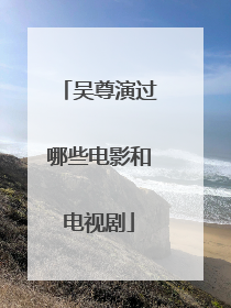 吴尊演过哪些电影和电视剧