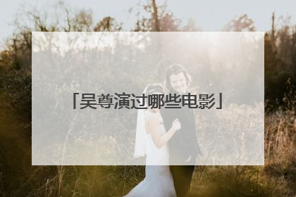 吴尊演过哪些电影