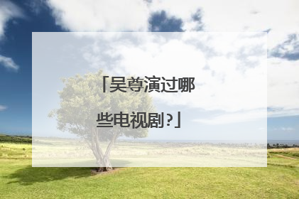 吴尊演过哪些电视剧?