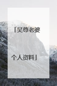 吴尊老婆个人资料